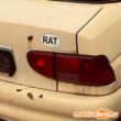 RAT felségjelzés matrica - Ford Escort