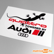 Audi quattro matrica