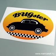 Bugster matrica
