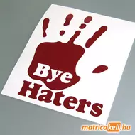 Bye Haters matrica
