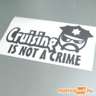 Cruising is not a Crime matrica