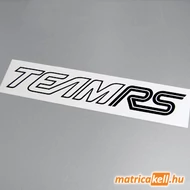 Ford Team RS matrica