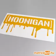 Hoonigan splat matrica