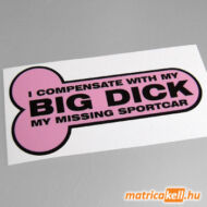 I compensate with my BIG DICK ... matrica