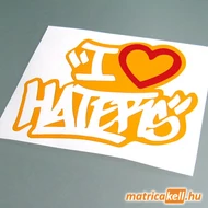 I love haters matrica