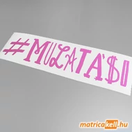 Mulatási matrica