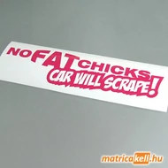 No fat chicks Car will scrape! matrica