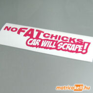No fat chicks Car will scrape! matrica