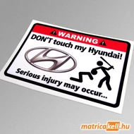 Don't touch my Hyundai matrica