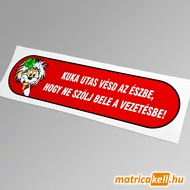 Kuka utas ... ne szólj bele a vezetésbe matrica