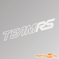 Ford Team RS szélvédőmatrica