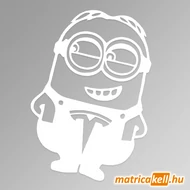 Minion Tesla matrica