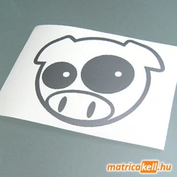 Pig matrica