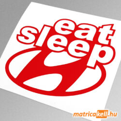 eat sleep Hyundai matrica